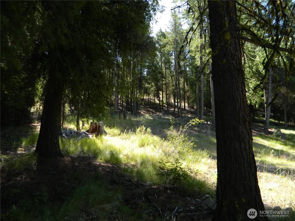 0 TBD Snowbunny Ridge Drive Tonasket, WA 98855