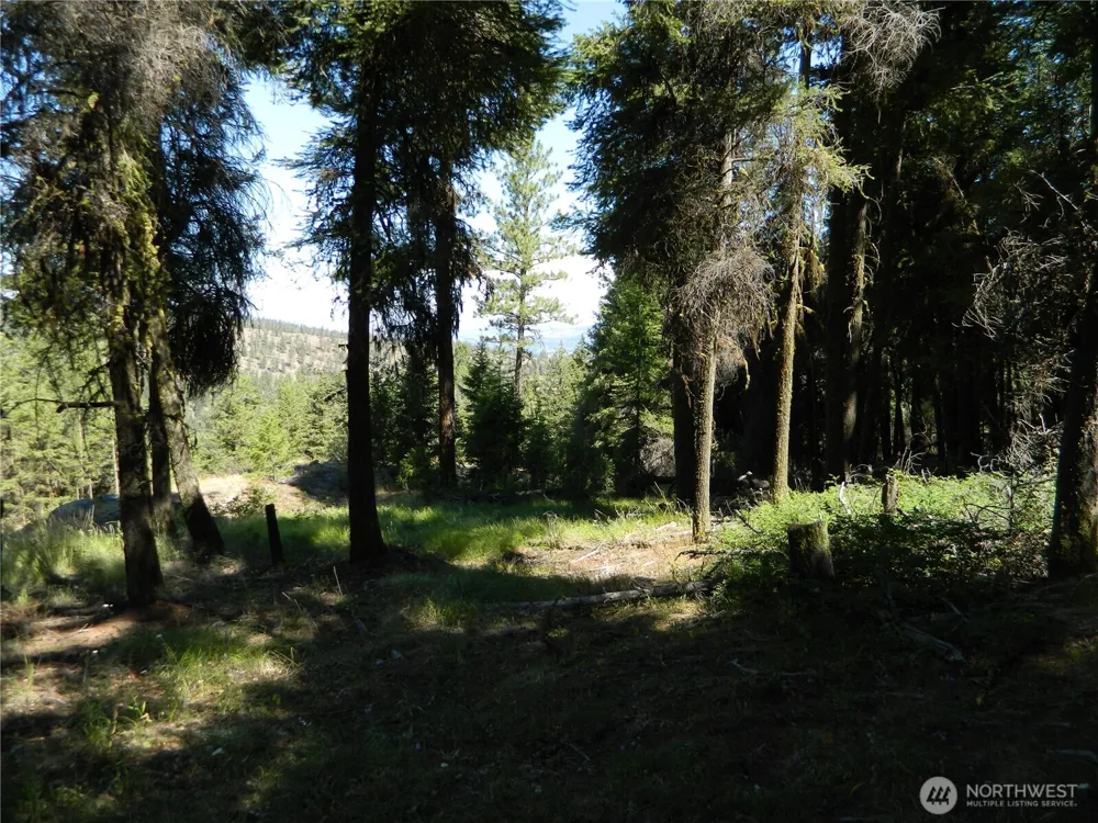 0 TBD Snowbunny Ridge Drive Tonasket, WA 98855