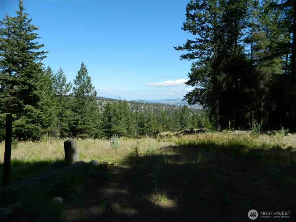 0 TBD Snowbunny Ridge Drive Tonasket, WA 98855