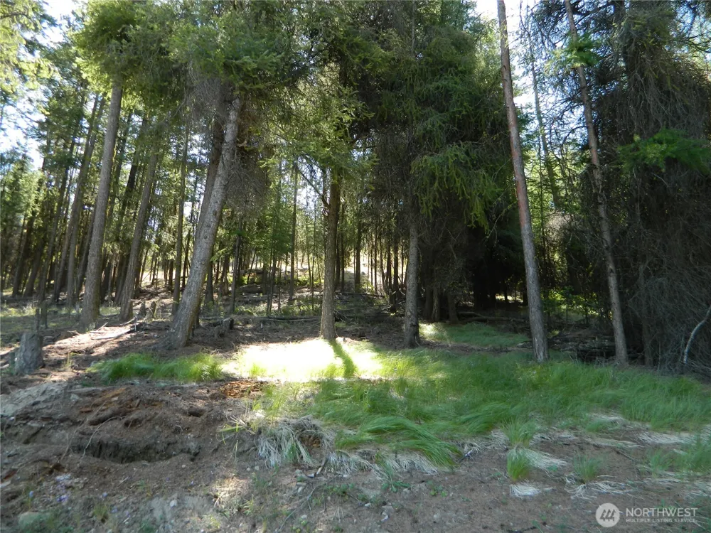 0 TBD Snowbunny Ridge Drive Tonasket, WA 98855