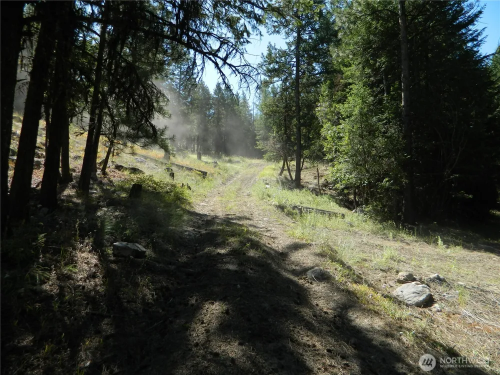 0 TBD Snowbunny Ridge Drive Tonasket, WA 98855