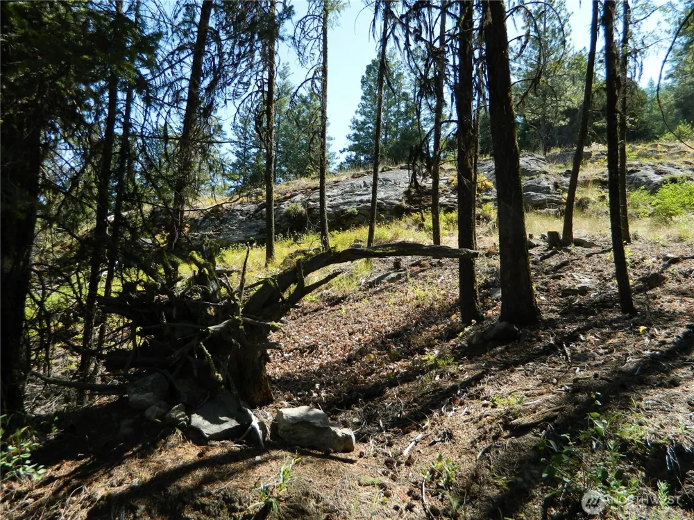 0 TBD Snowbunny Ridge Drive Tonasket, WA 98855