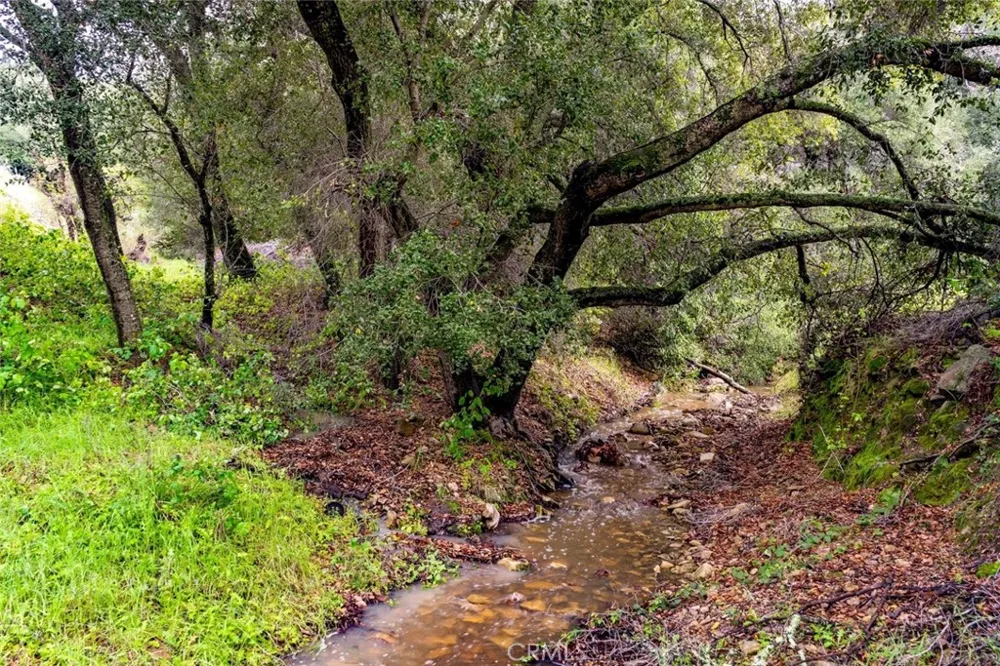 1825 Hi Mountain Arroyo Grande, CA 93420