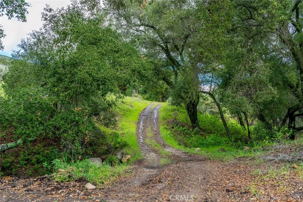 1825 Hi Mountain Arroyo Grande, CA 93420