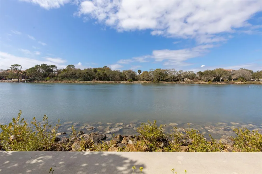 262 YACHT HARBOR DRIVE Palm Coast, FL 32137