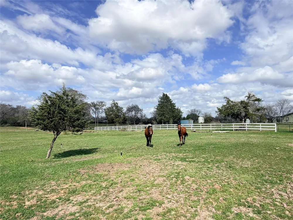 13700 Burnett Road Beasley, TX 77417