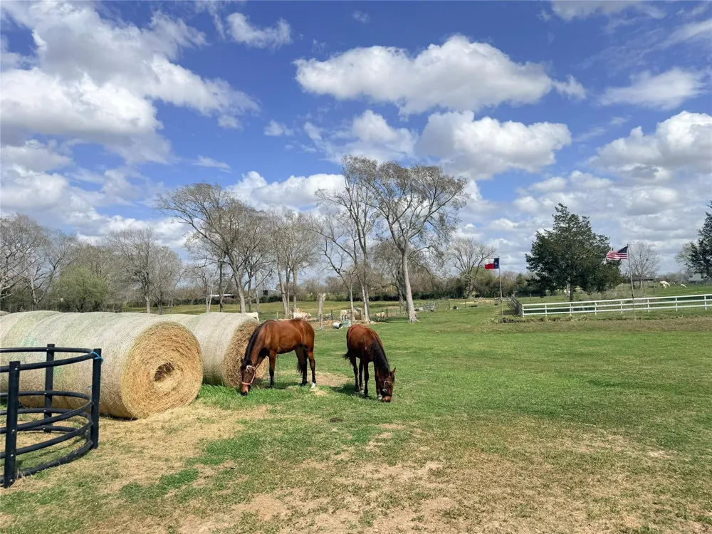 13700 Burnett Road Beasley, TX 77417