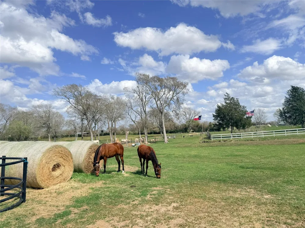 13700 Burnett Road Beasley, TX 77417