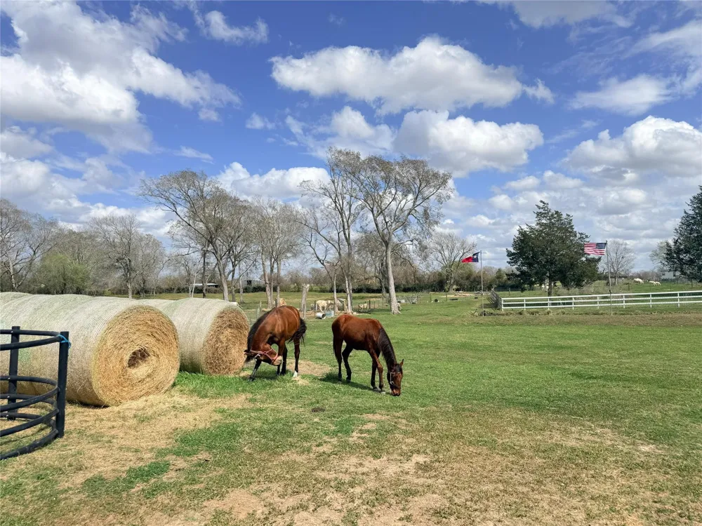 13700 Burnett Road Beasley, TX 77417