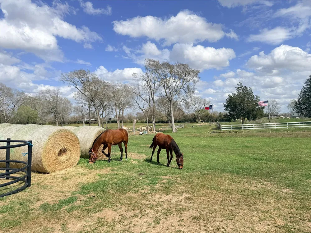 13700 Burnett Road Beasley, TX 77417