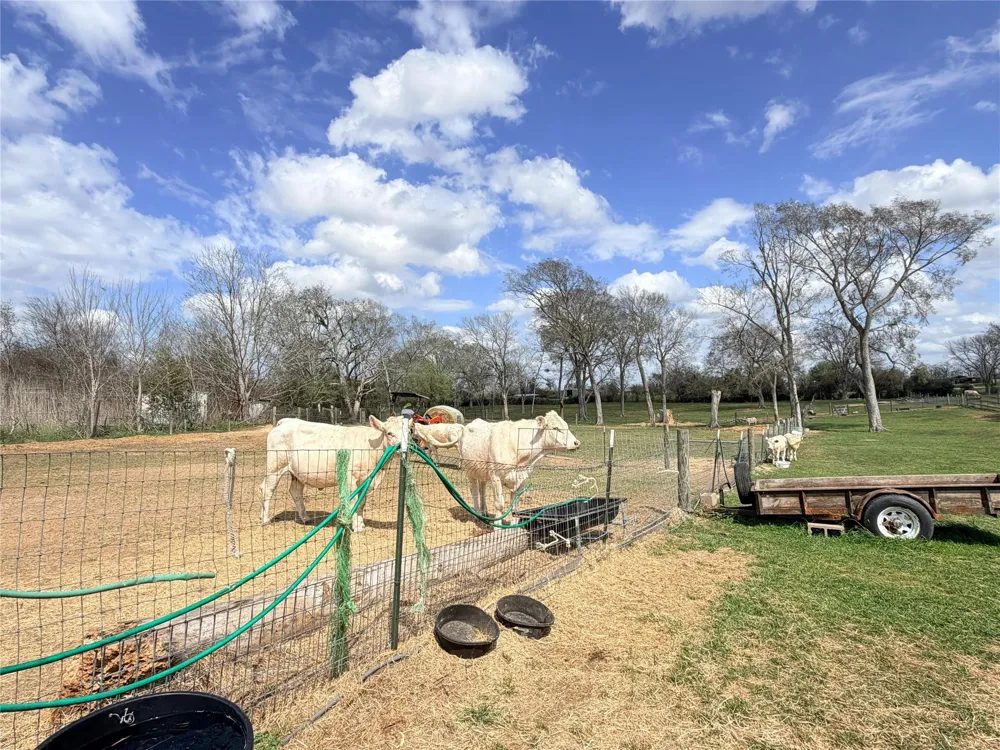 13700 Burnett Road Beasley, TX 77417
