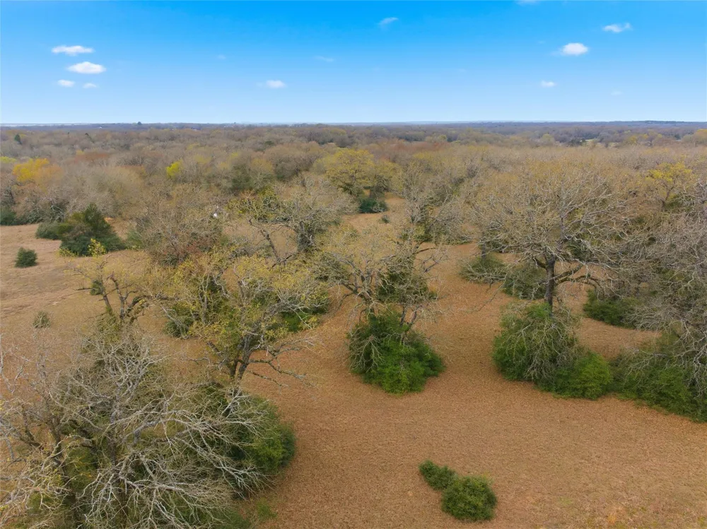 Fm 3371 Groesbeck, TX 76642