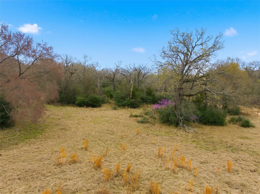 Fm 3371 Groesbeck, TX 76642