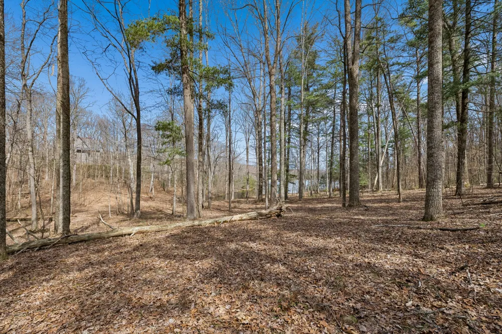0 McGregor Lane McMinnville, TN 37110