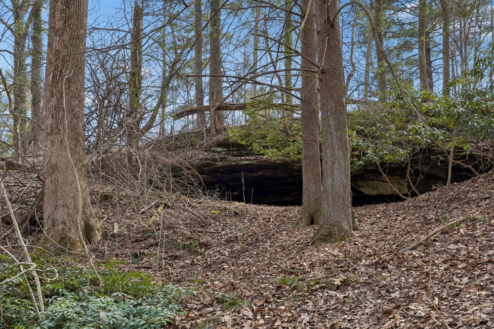 0 McGregor Lane McMinnville, TN 37110