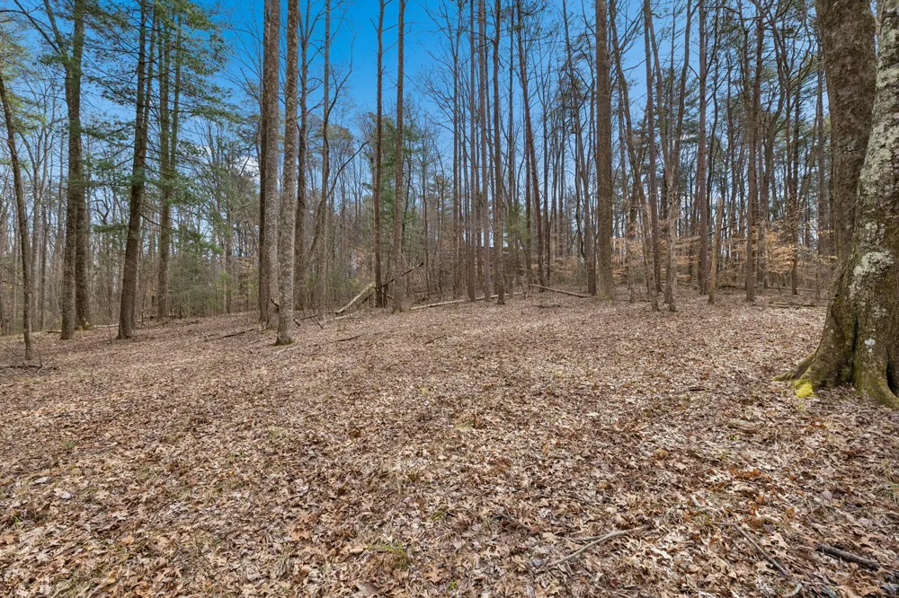 0 McGregor Lane McMinnville, TN 37110
