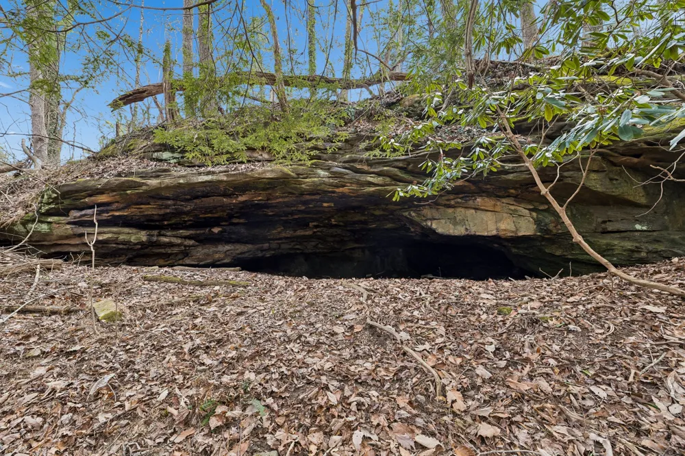 0 McGregor Lane McMinnville, TN 37110