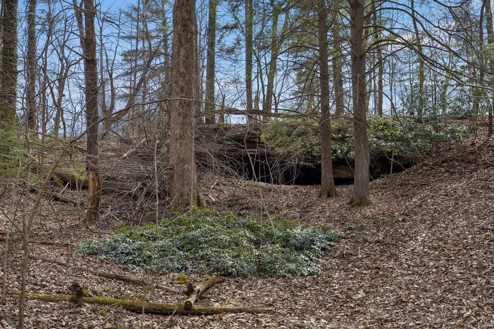 0 McGregor Lane McMinnville, TN 37110