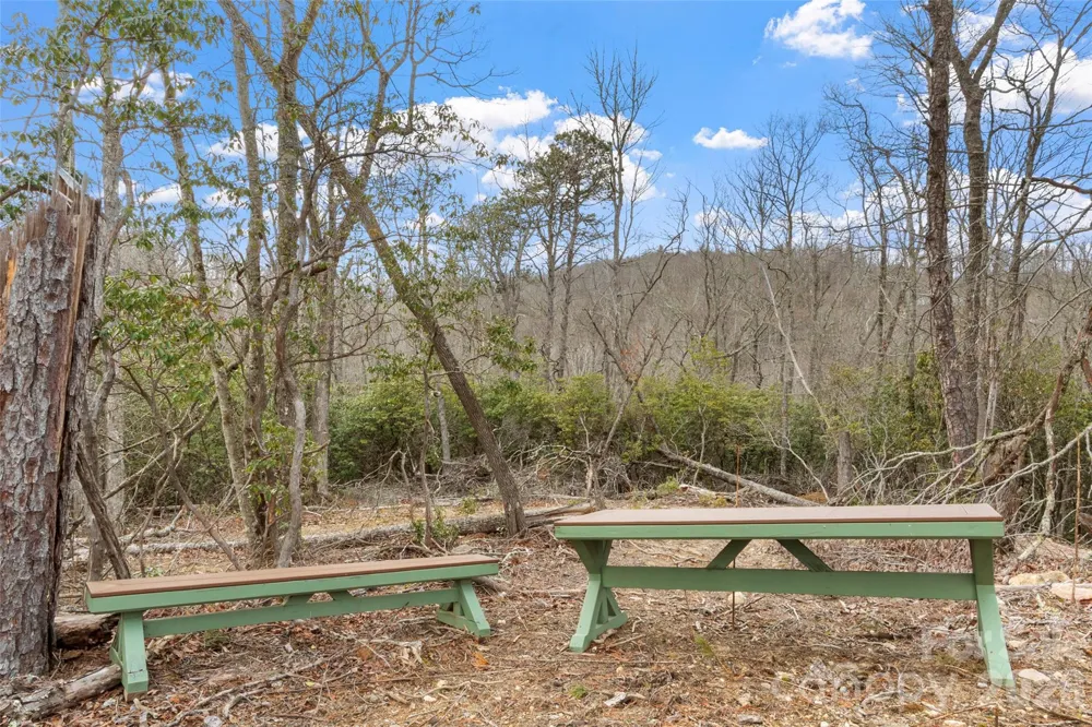 87 Trails End Road #28 Little Switzerland, NC 28749