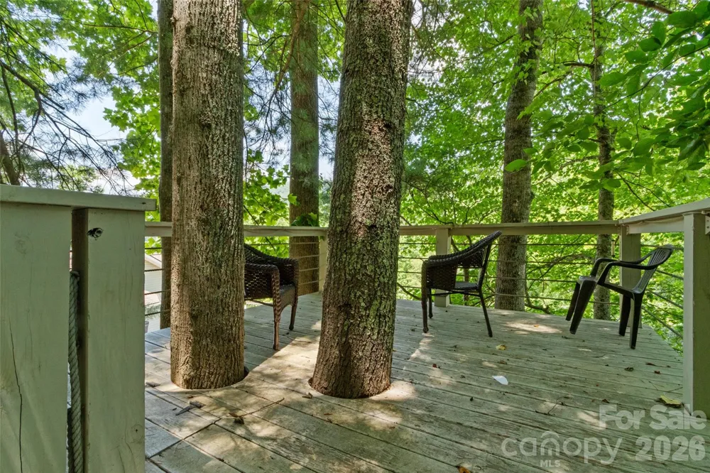 189 Poverty Branch Road Barnardsville, NC 28709