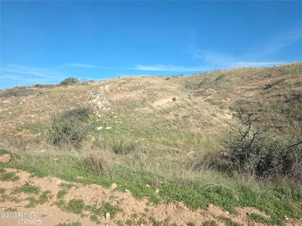 Briggs Agua Dulce, CA 91350