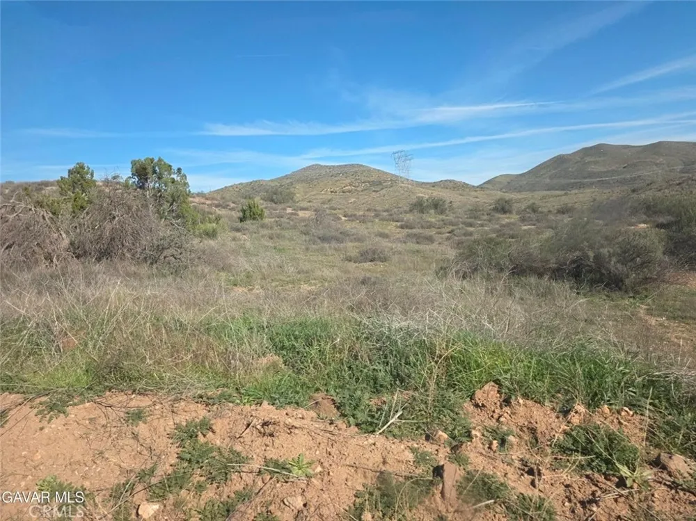 Briggs Agua Dulce, CA 91350