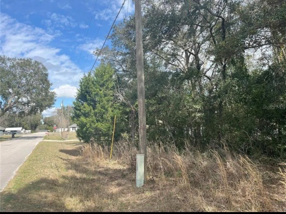 TBD 94TH AVE Belleview, FL 34420