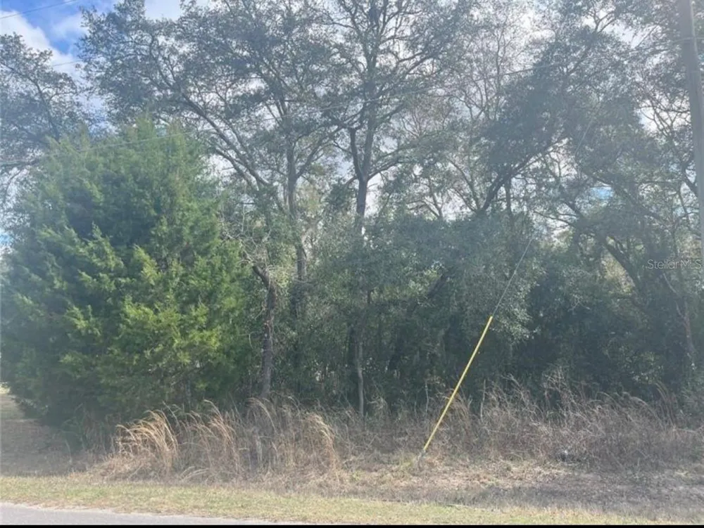 TBD 94TH AVE Belleview, FL 34420