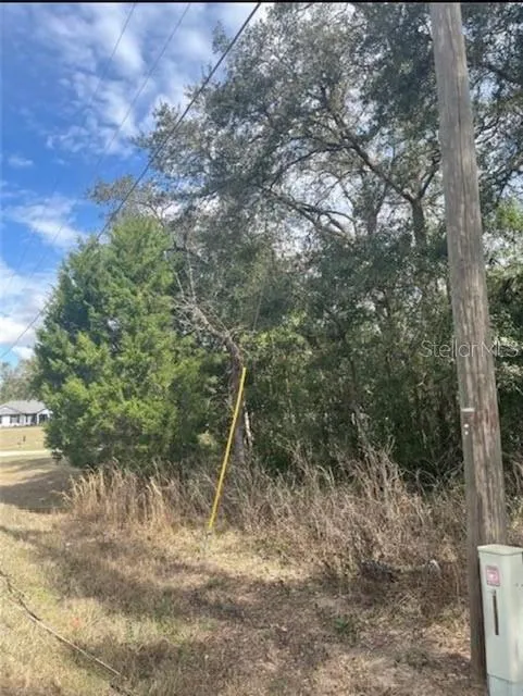 TBD 94TH AVE Belleview, FL 34420