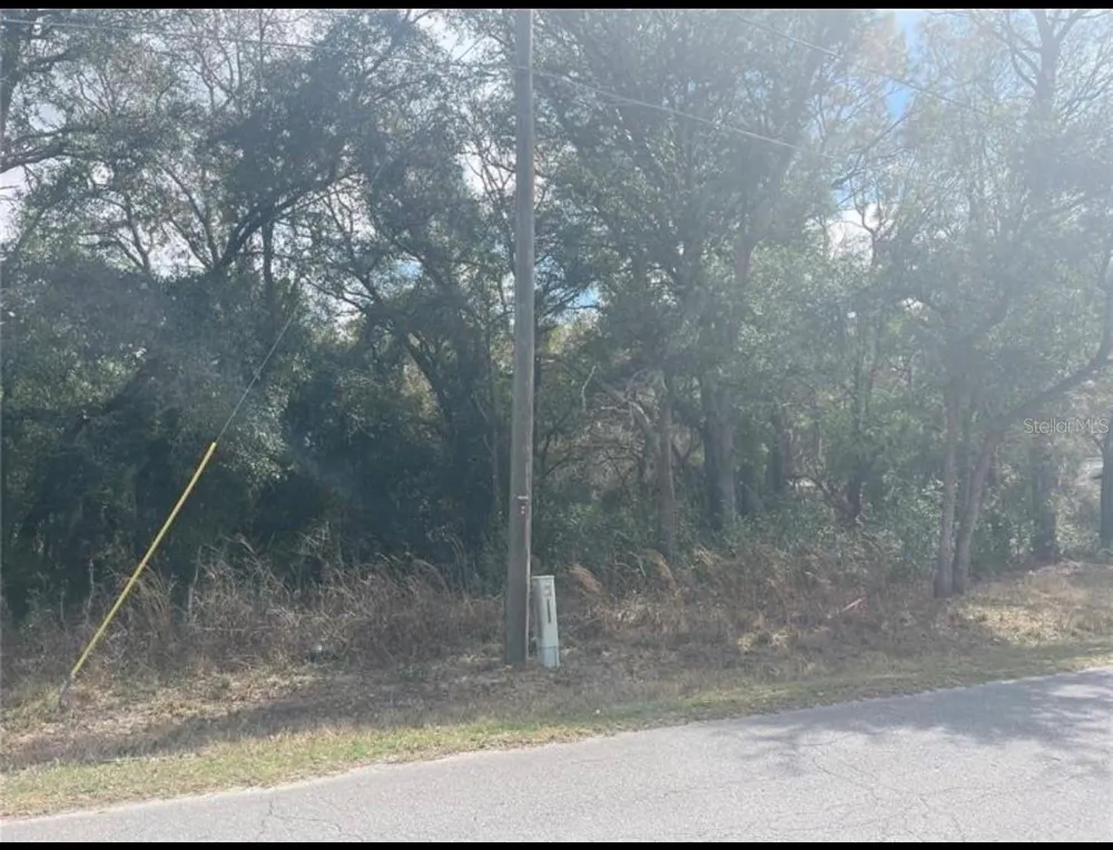 TBD 94TH AVE Belleview, FL 34420