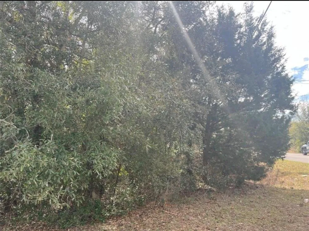 TBD 94TH AVE Belleview, FL 34420