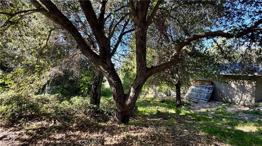 Hilldale Drive La Canada Flintridge, CA 91011