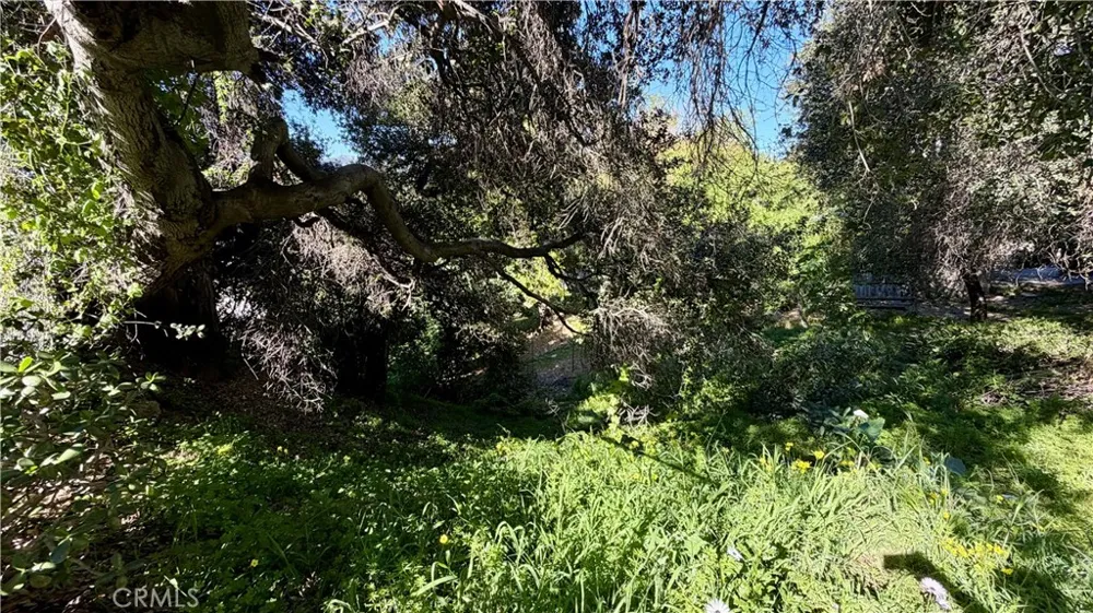 Hilldale Drive La Canada Flintridge, CA 91011