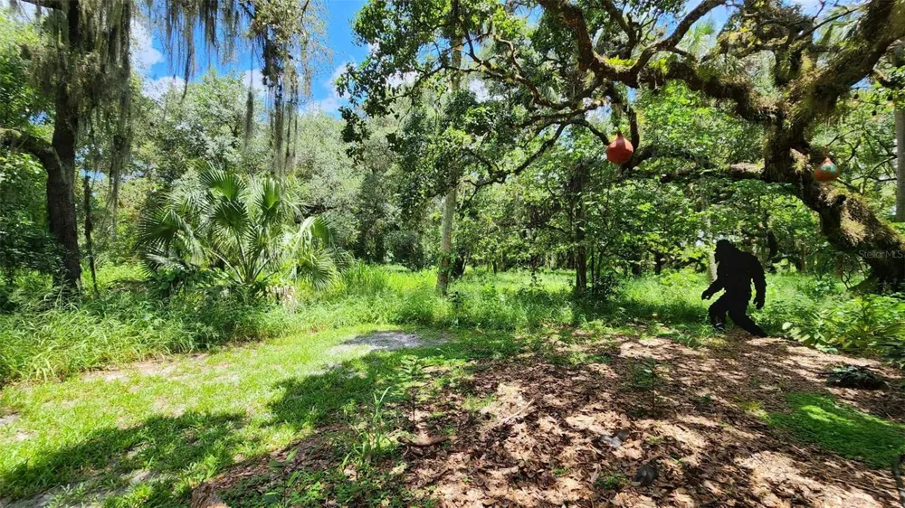 389 LONGHORN DRIVE River Ranch, FL 33867