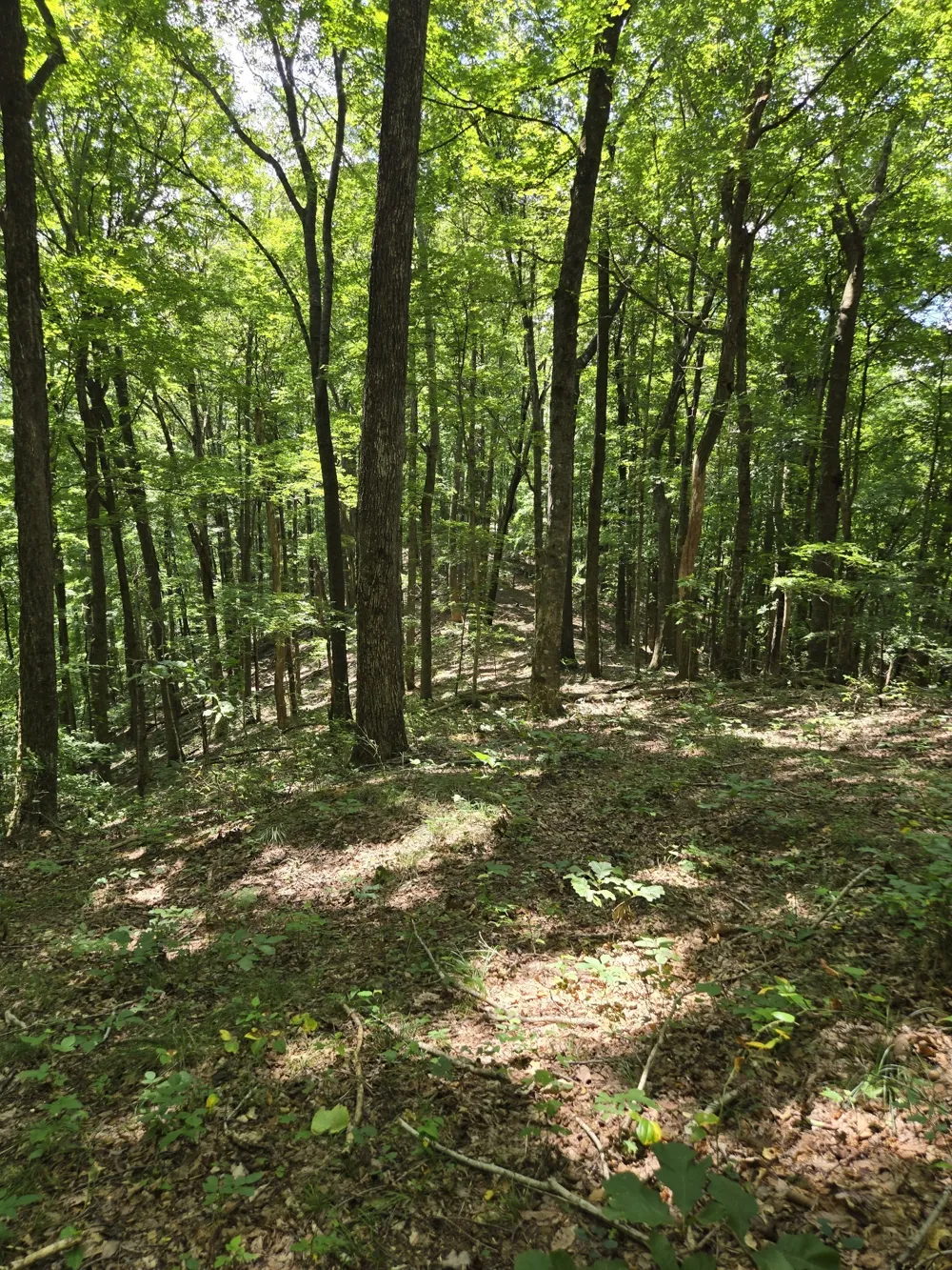 16 Seals Hollow Rd Woodbury, TN 37190