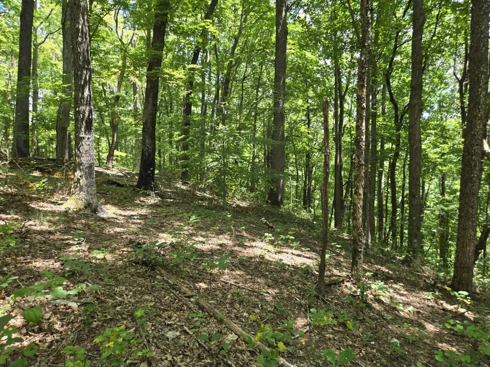 16 Seals Hollow Rd Woodbury, TN 37190