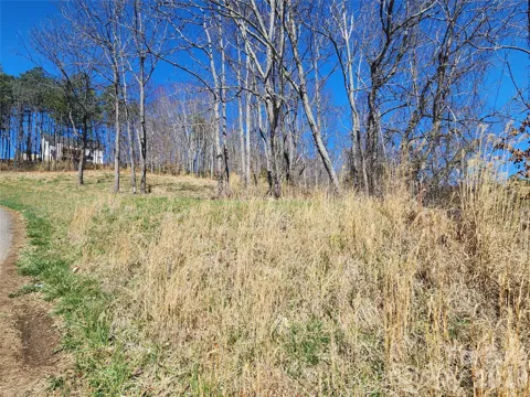 9999 Country Drive