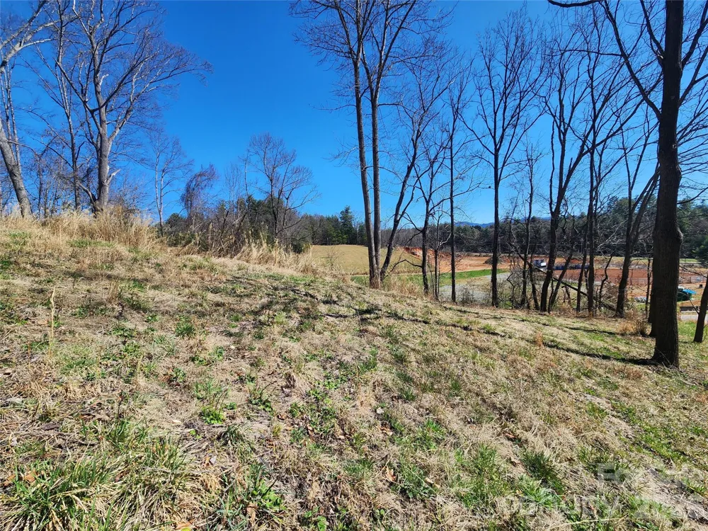 9999 Country Drive Mars Hill, NC 28754