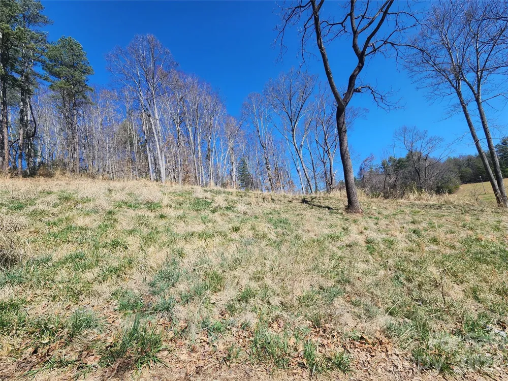 9999 Country Drive Mars Hill, NC 28754