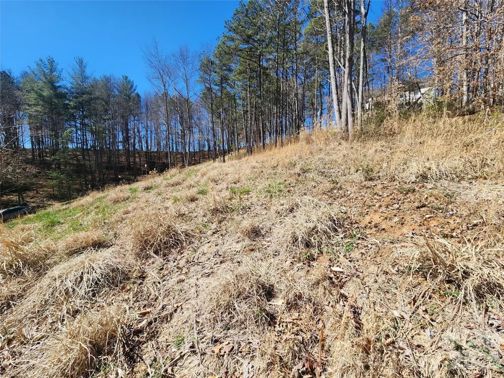9999 Country Drive Mars Hill, NC 28754