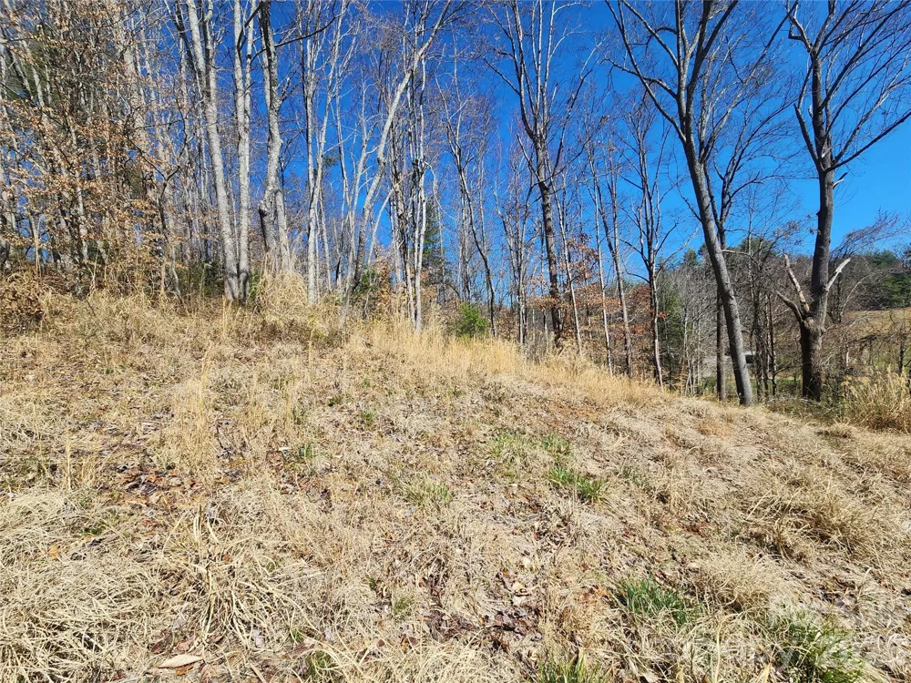 9999 Country Drive Mars Hill, NC 28754