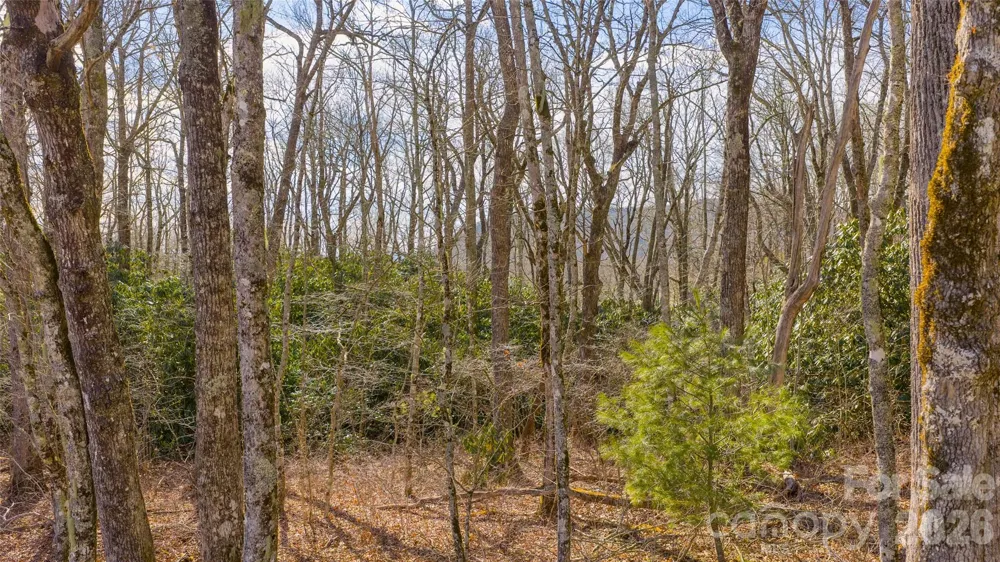 TBD Garden Trail Highlands, NC 28741