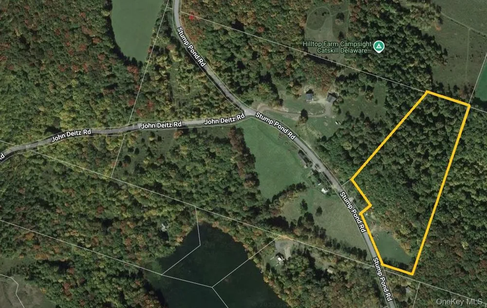 TBD Stump Pond Road Livingston Manor, NY 12758