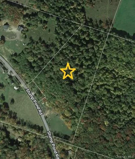 TBD Stump Pond Road Livingston Manor, NY 12758