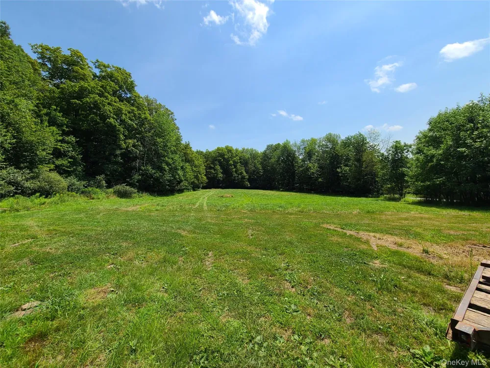 TBD Stump Pond Road Livingston Manor, NY 12758