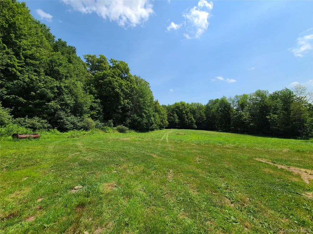 TBD Stump Pond Road Livingston Manor, NY 12758
