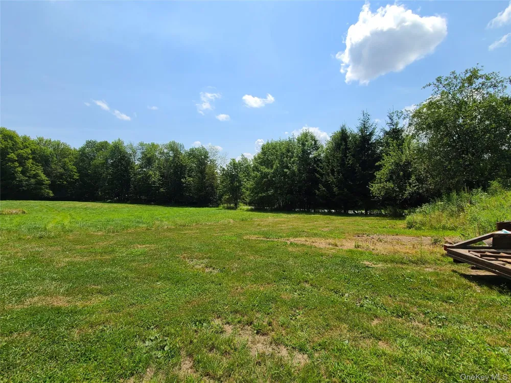 TBD Stump Pond Road Livingston Manor, NY 12758