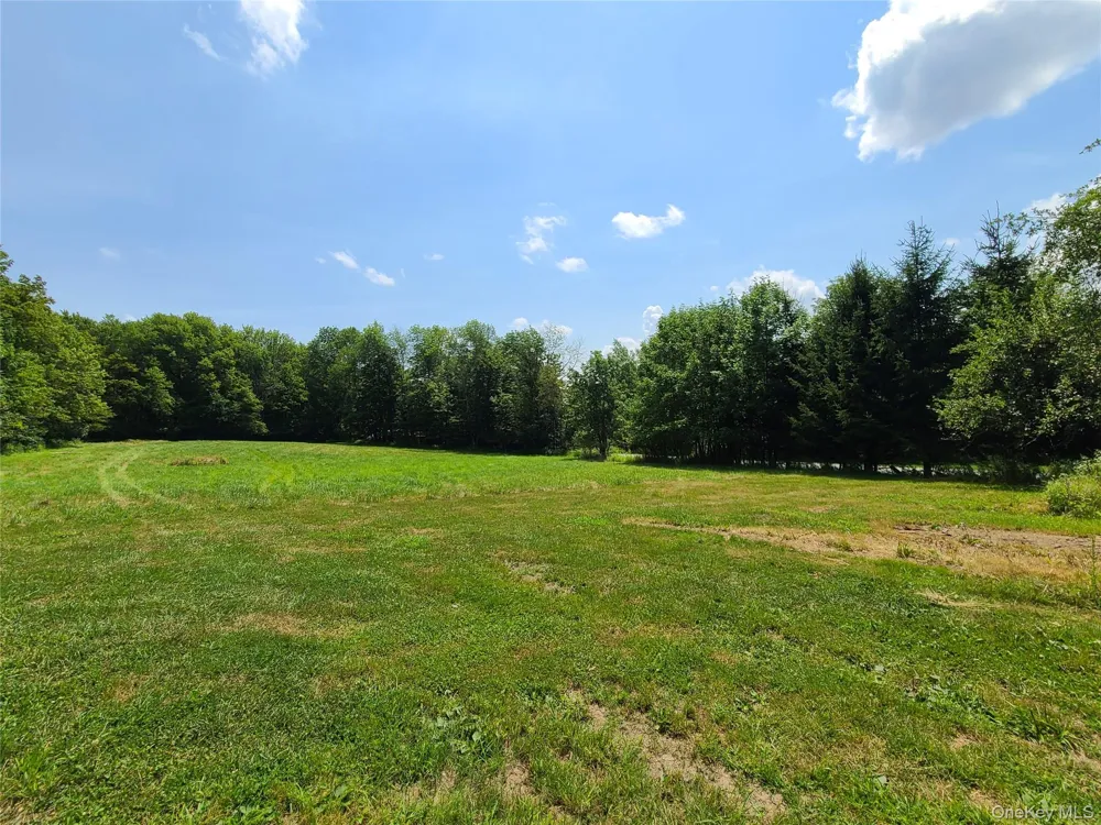 TBD Stump Pond Road Livingston Manor, NY 12758