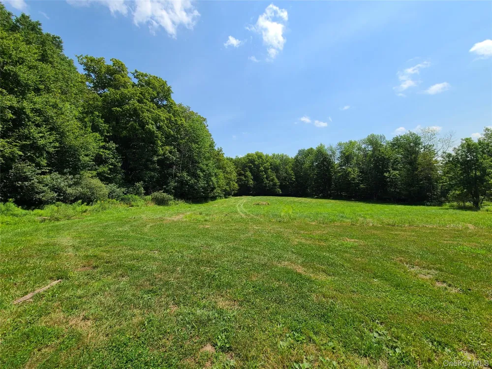 TBD Stump Pond Road Livingston Manor, NY 12758