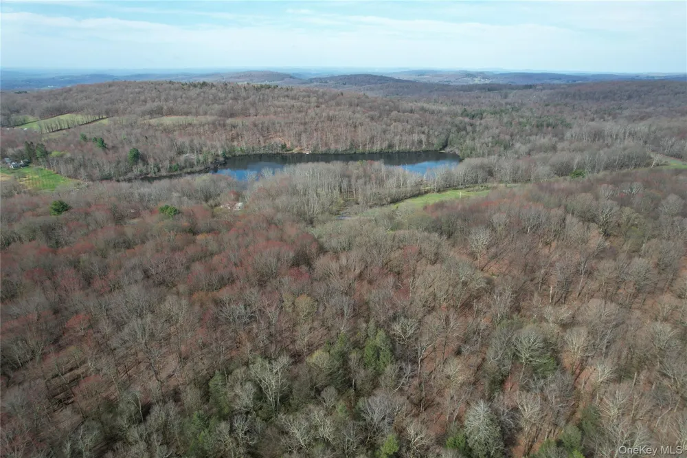 TBD Stump Pond Road Livingston Manor, NY 12758